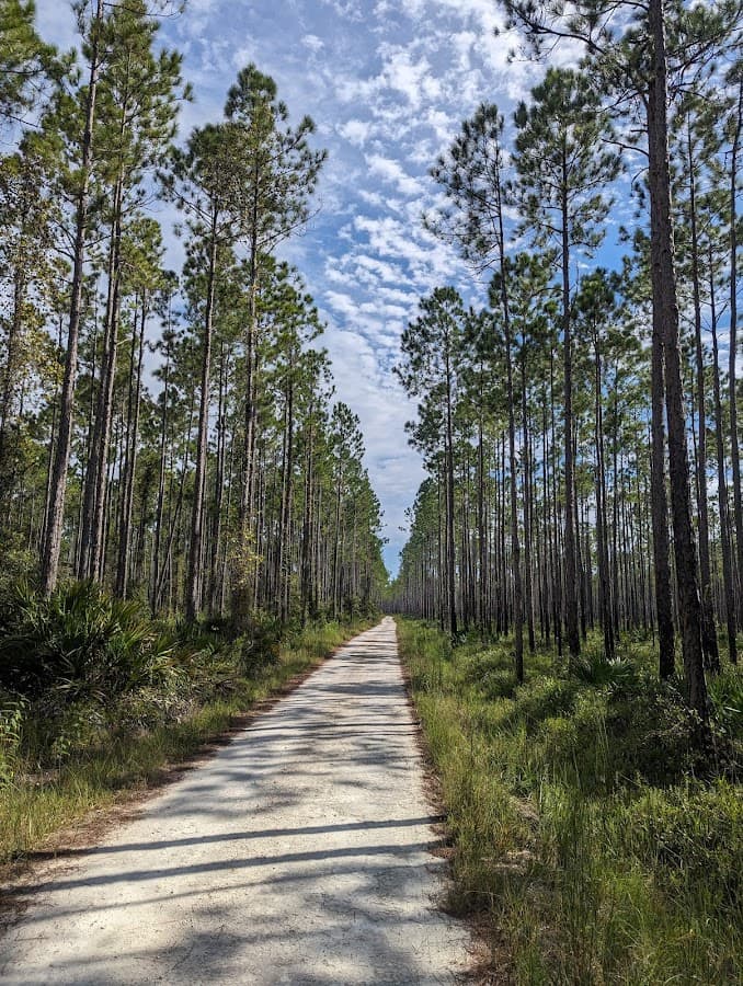 Cary State Forest Garden St Trailhead