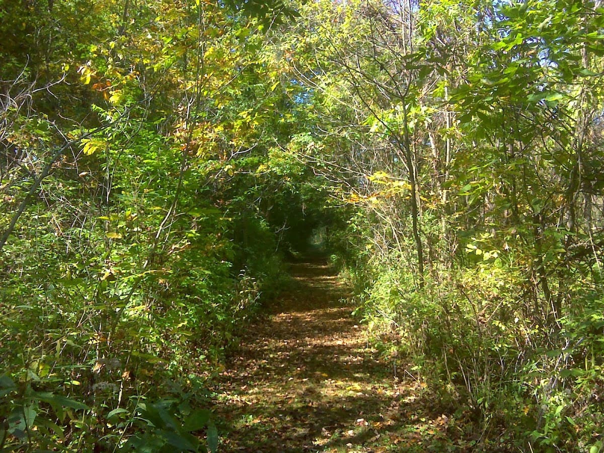 Cherrybottom Park