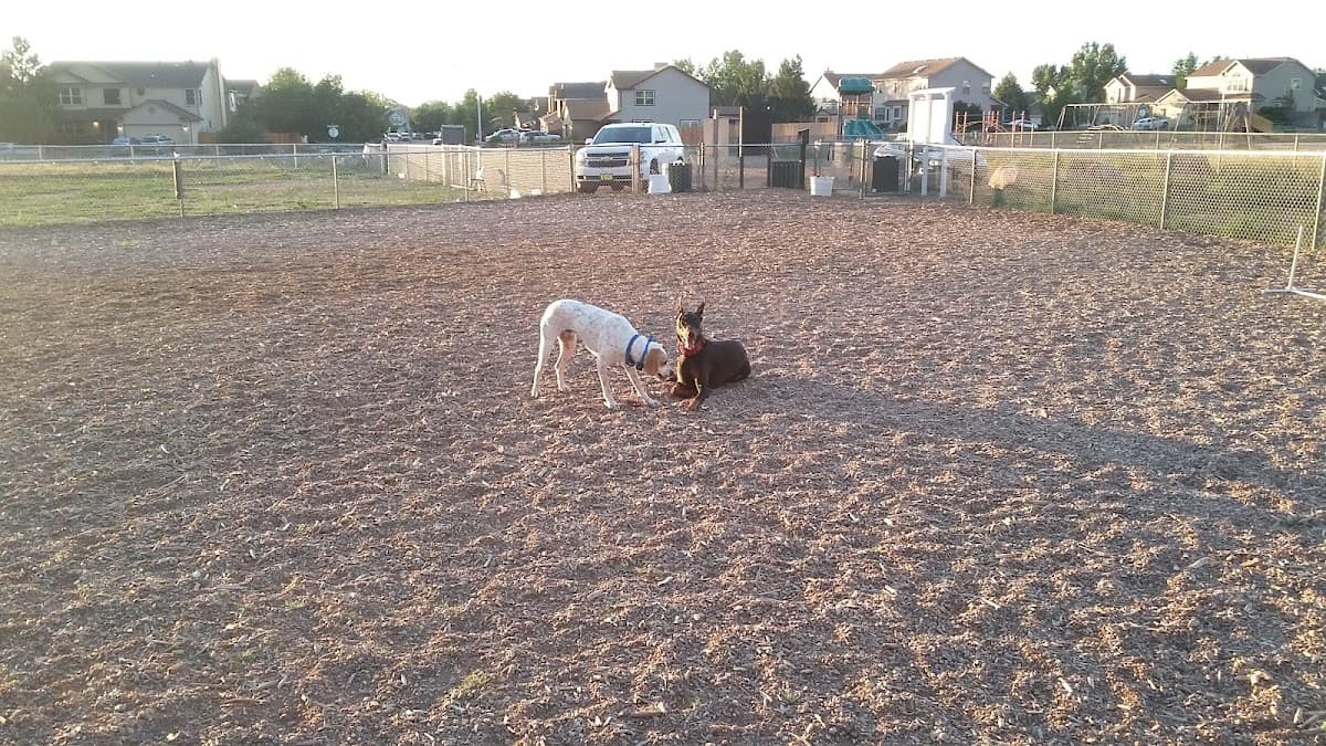 Cheyenne Meadows Dog Park