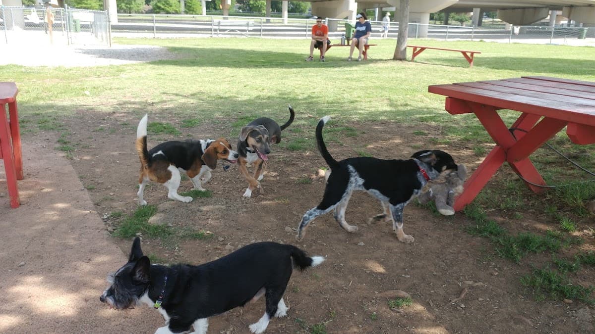 City of Huntsville Dogspot