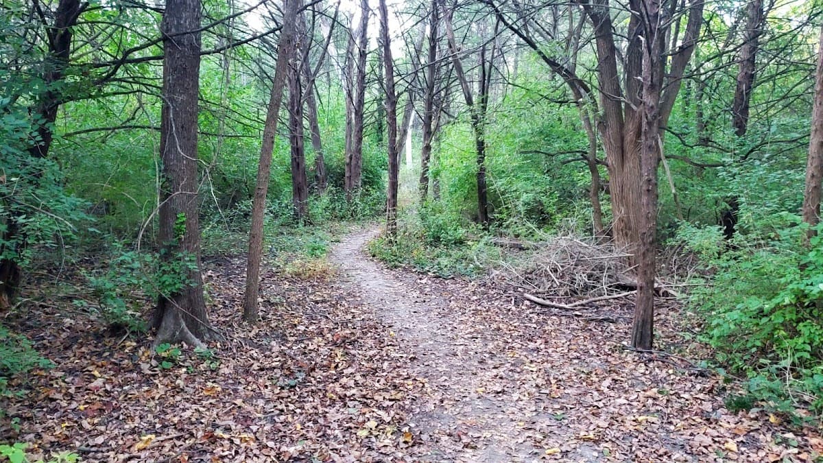 Clarion Woods Park