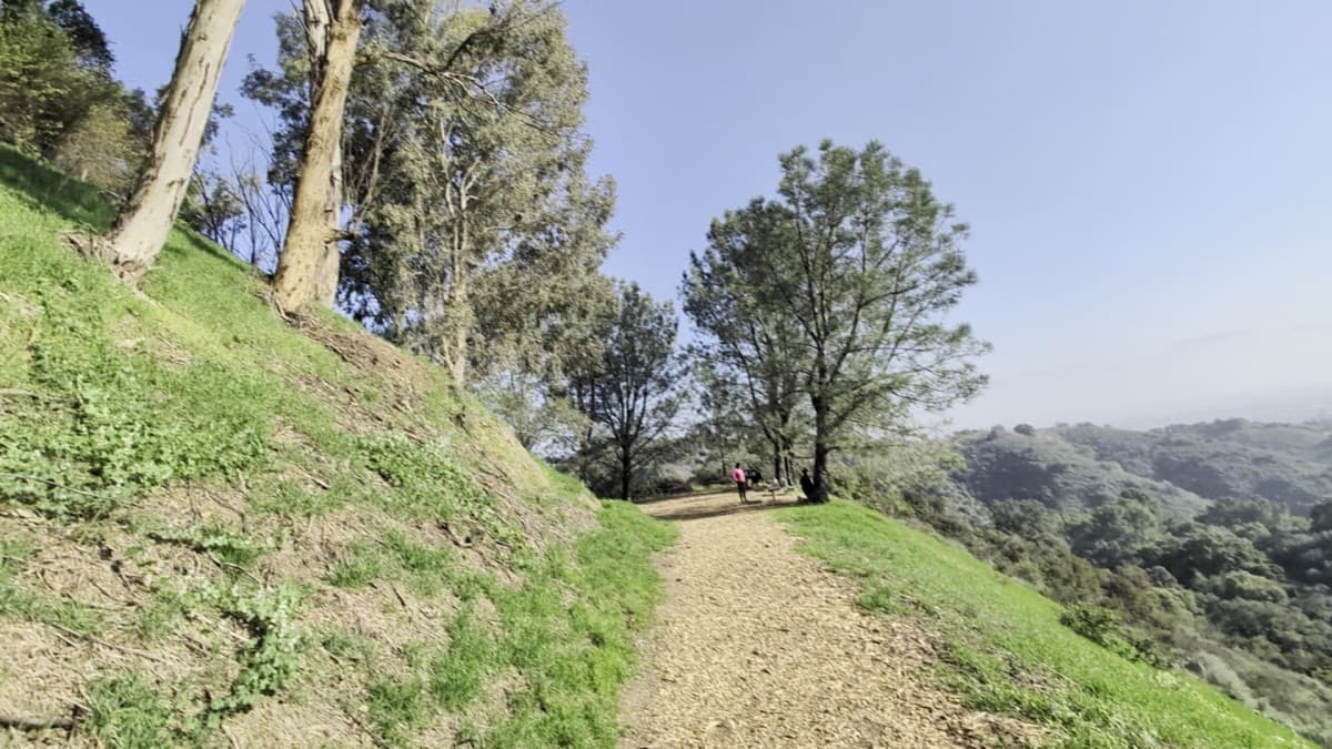 Coldwater Canyon Open Space