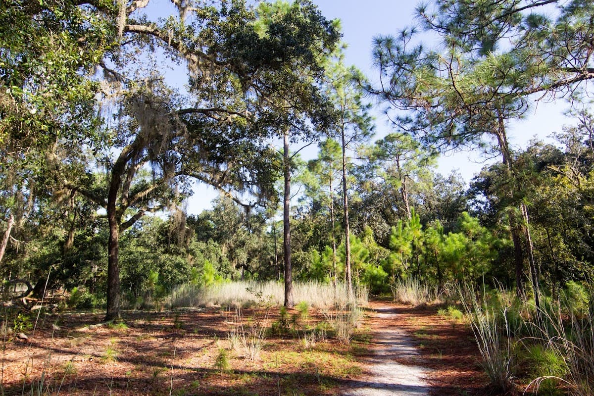 Crosby Island Marsh Preserve