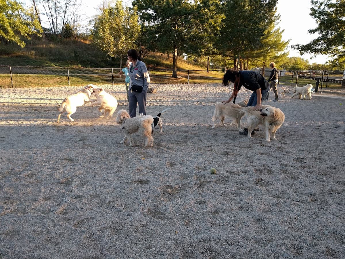 Danehy Dog Park