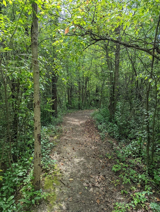 Dicken Woods Nature Area
