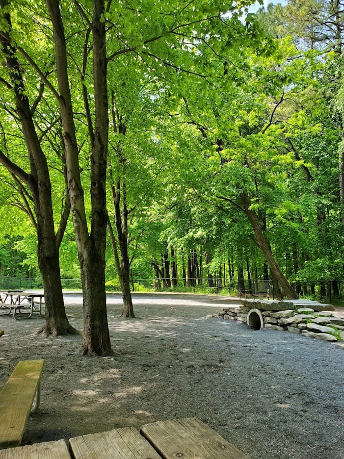 Dog Park in Wheaton Regional Park