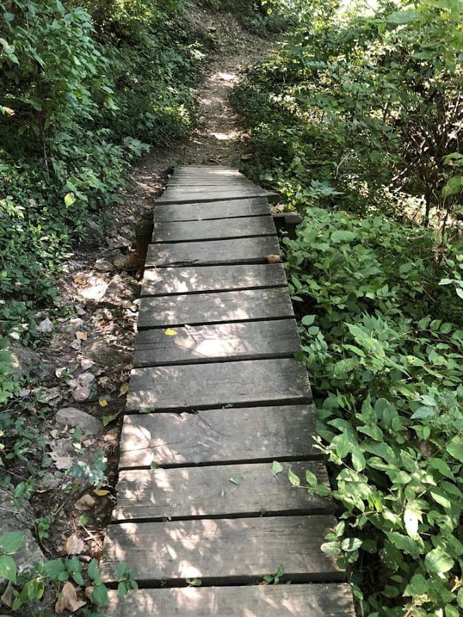Dunn Park Trail