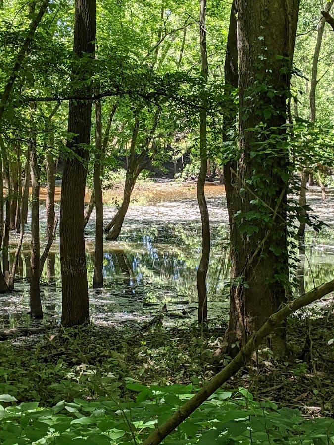 Eagle Slough Natural Area