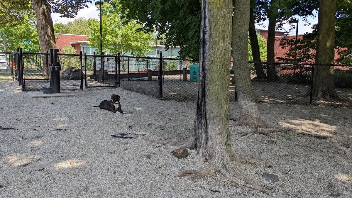 East Rock Dog Park