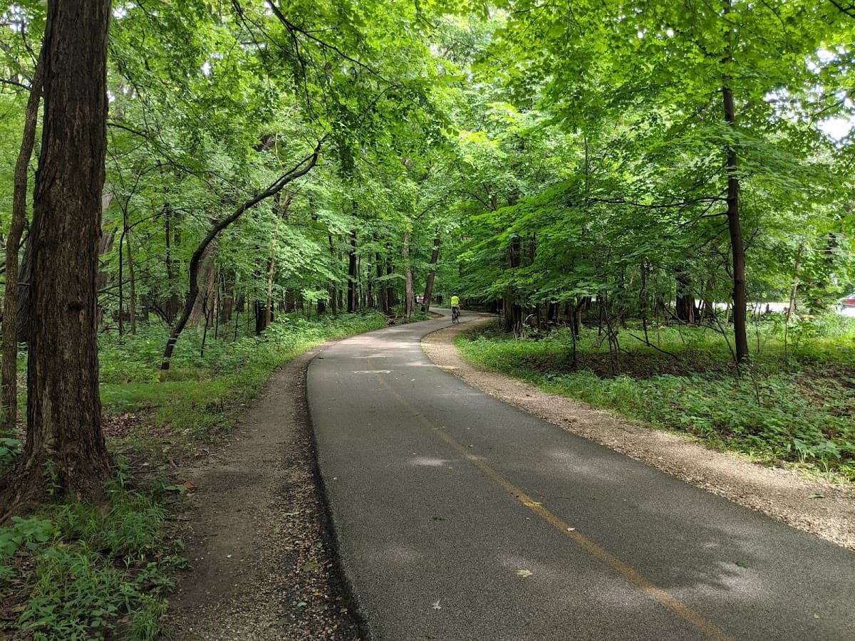 Edgebrook Woods