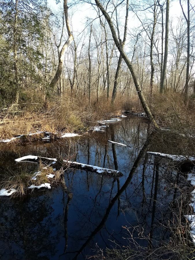 Evert Trail Preserve