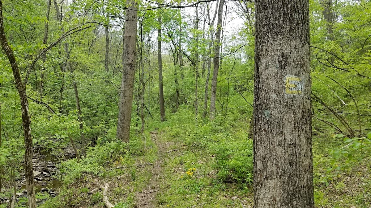 Fox Preserve
