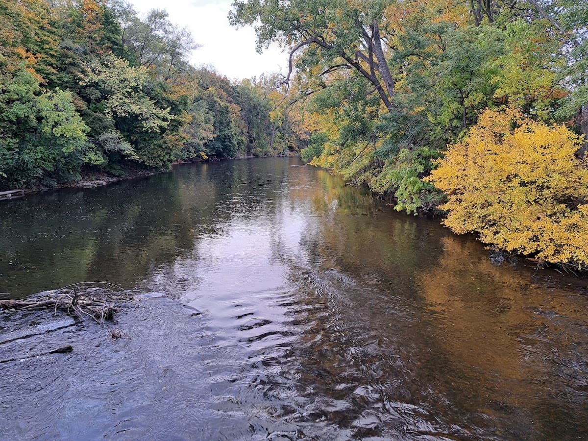 Frog Island Park