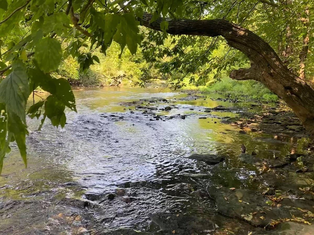 Fulbright Spring Greenway Trail