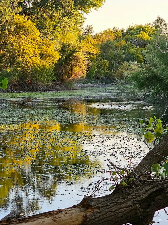 Glenbrook Park River Access