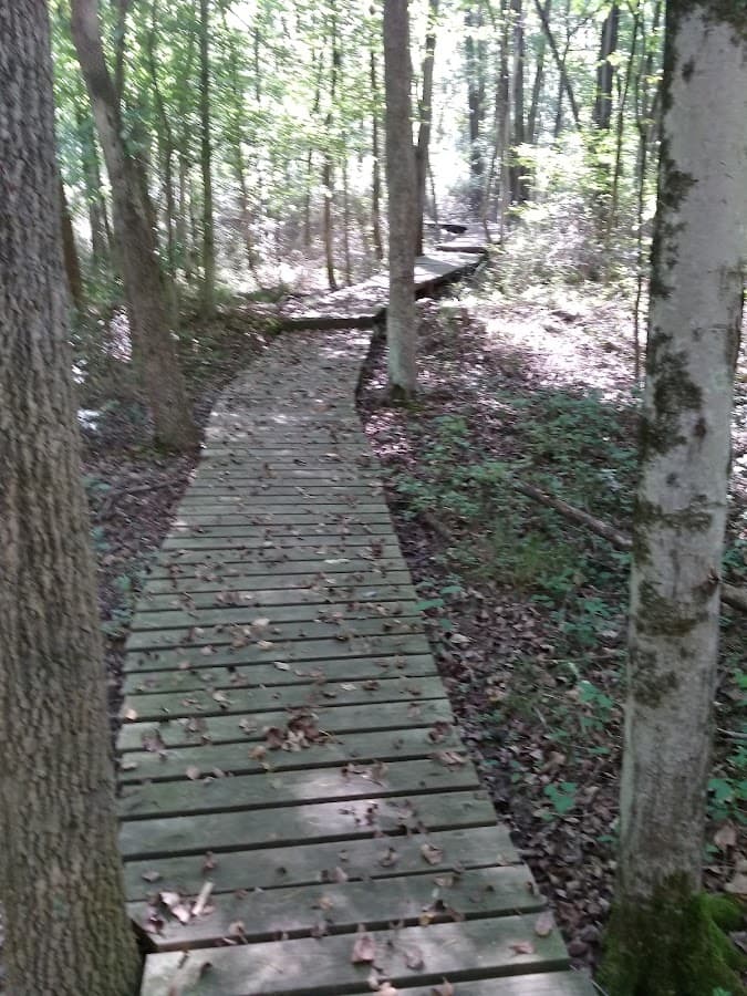 Gwynns Falls Trail