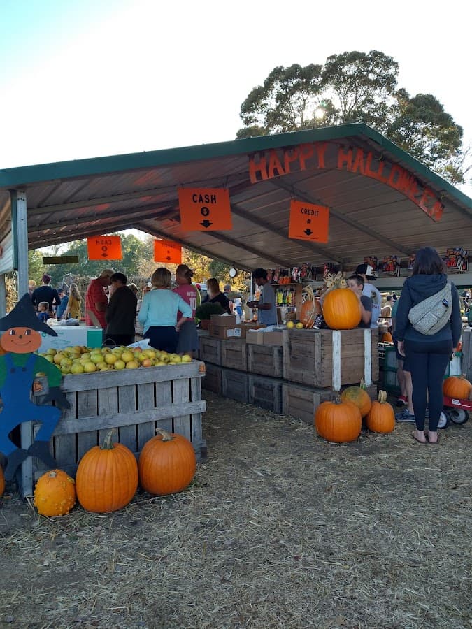 Hawks Pumpkin Patch