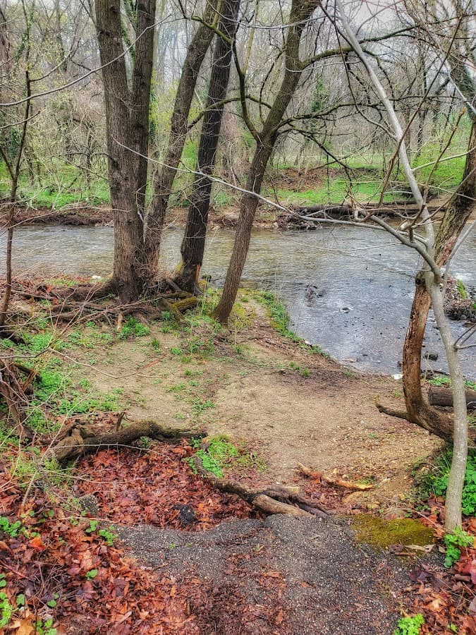 Herring Run Trailhead to Stream Footpath
