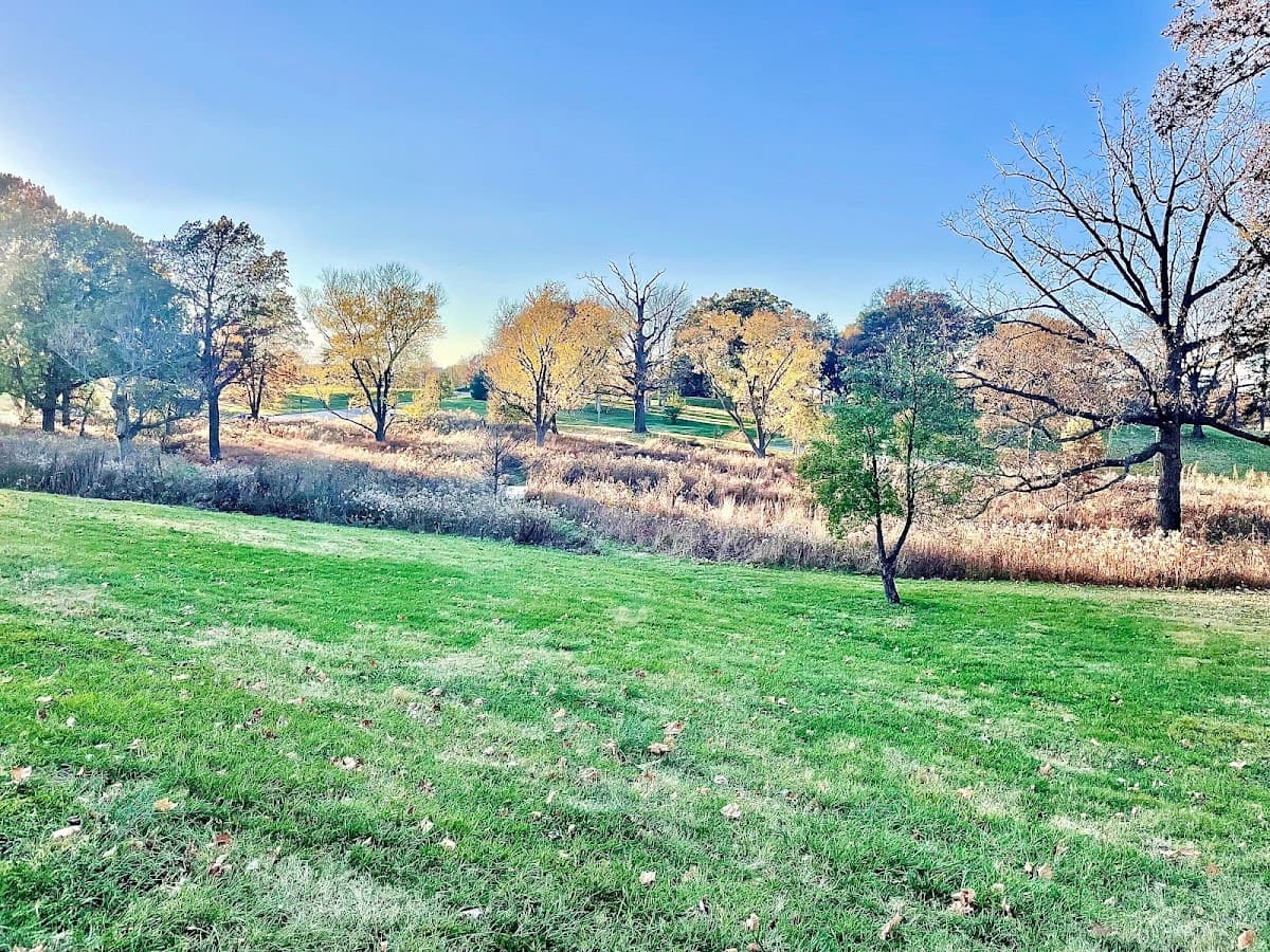 Hidden Creek Savanna at Forest Park