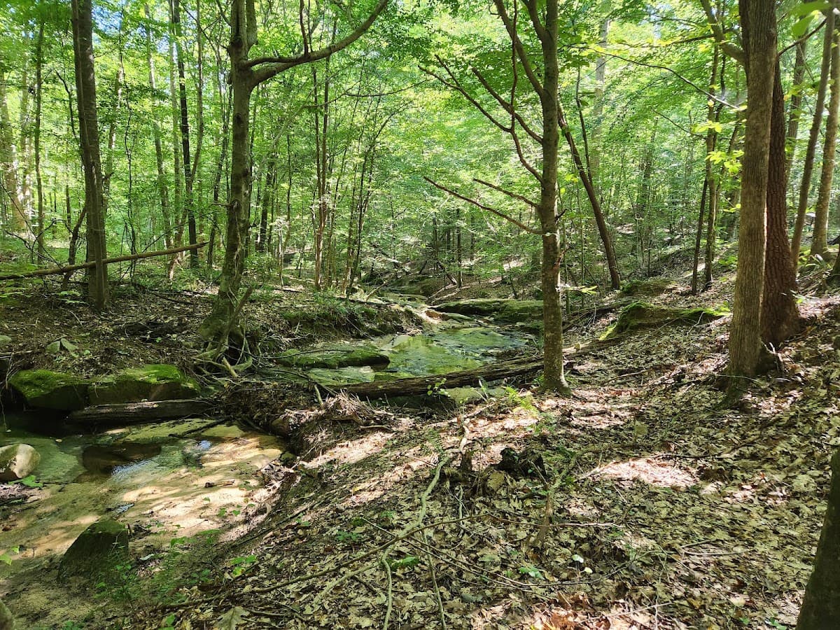 Hilliard Creek Trailhead