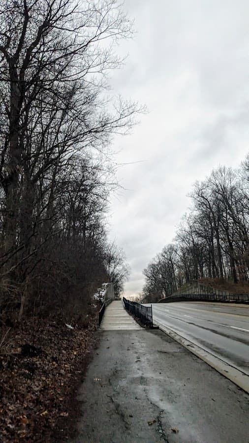 Huron Parkway Nature Area