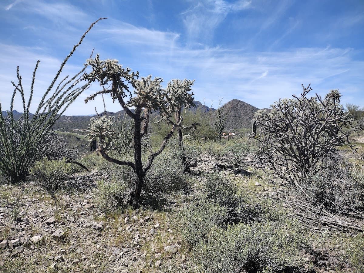 Jack and George Mountain Trail