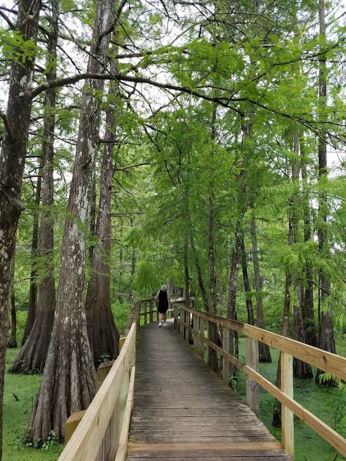 Lake Martin Loop Trail
