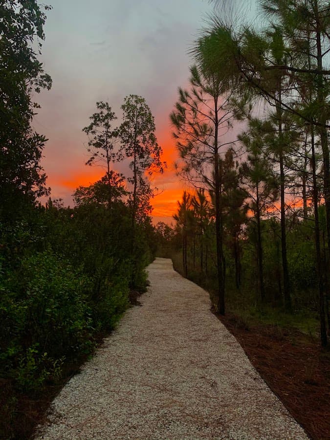 Laureate Park Nature Trailhead (Phase 10)