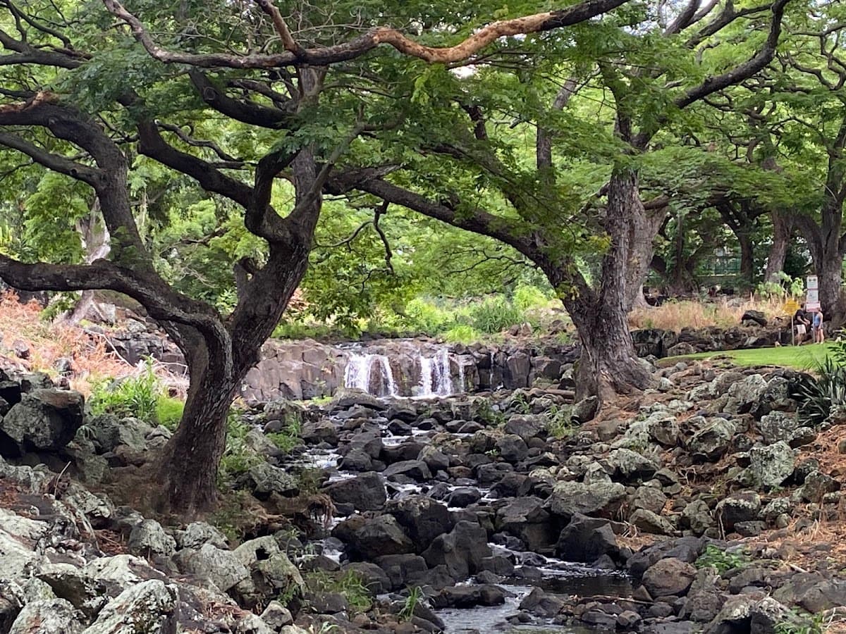 Liliʻuokalani Botanical Garden
