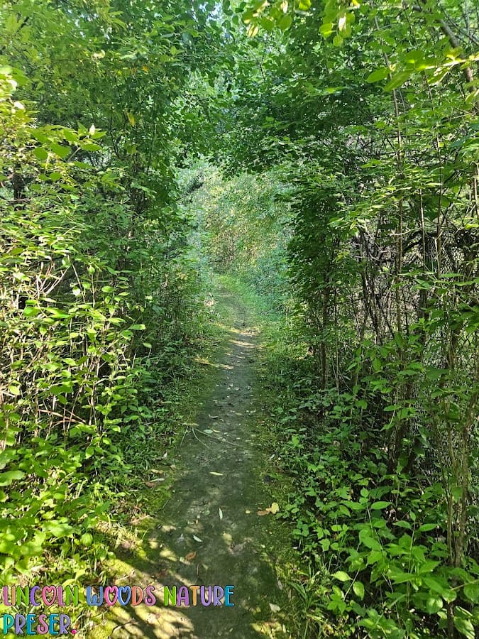 Lincoln Woods Nature Preserve