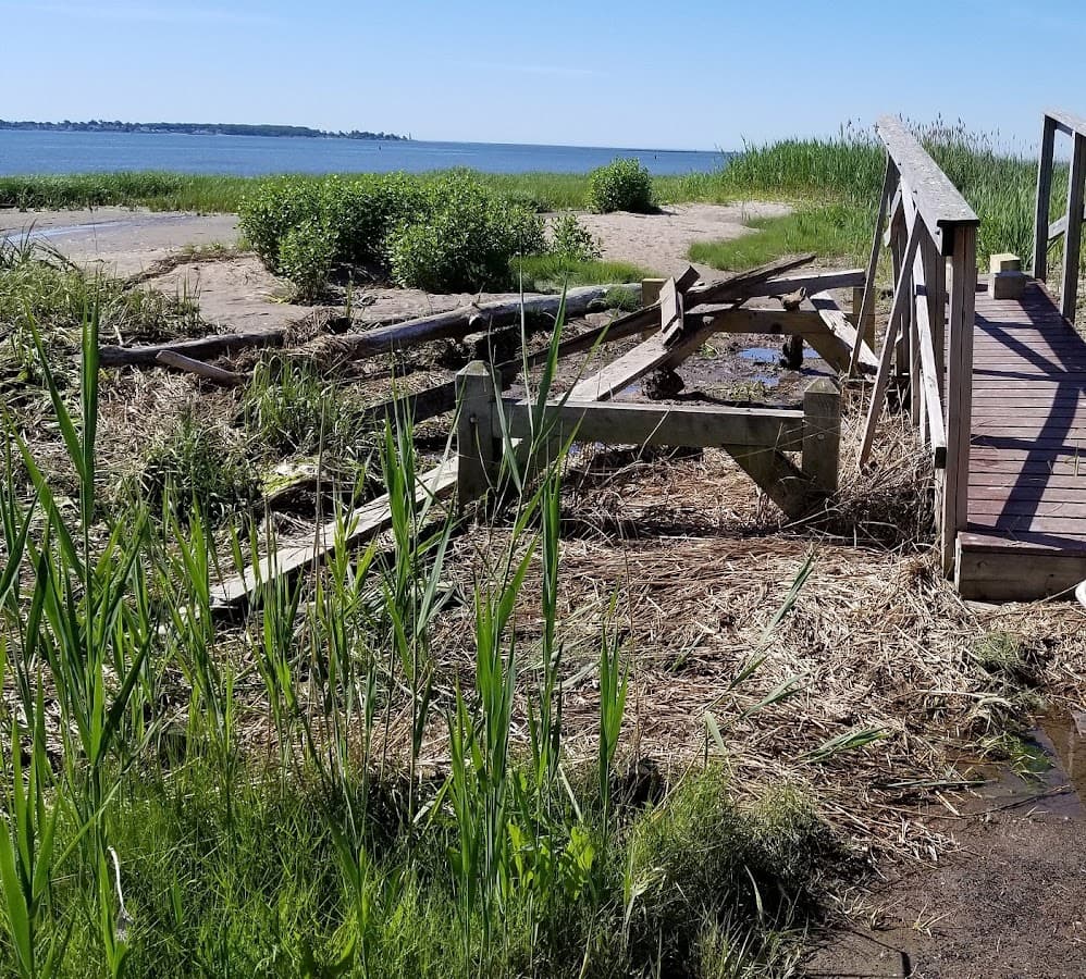 Long Wharf Nature Preserve