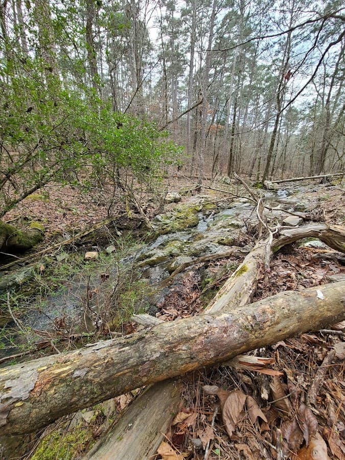 Lookout Mountain Trail