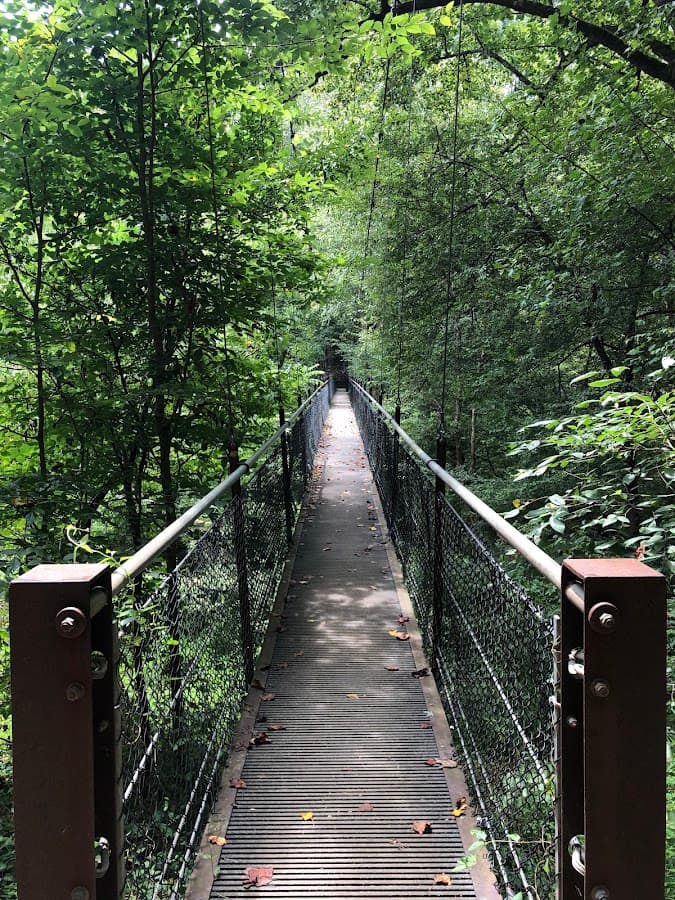 Lullwater Preserve
