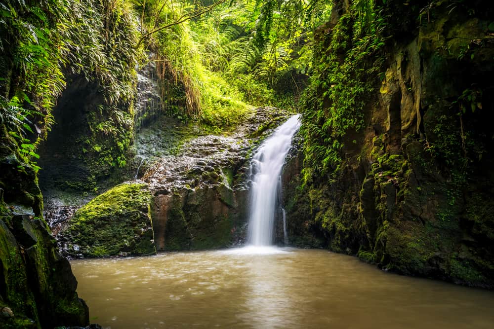 Maunawili Falls Trail