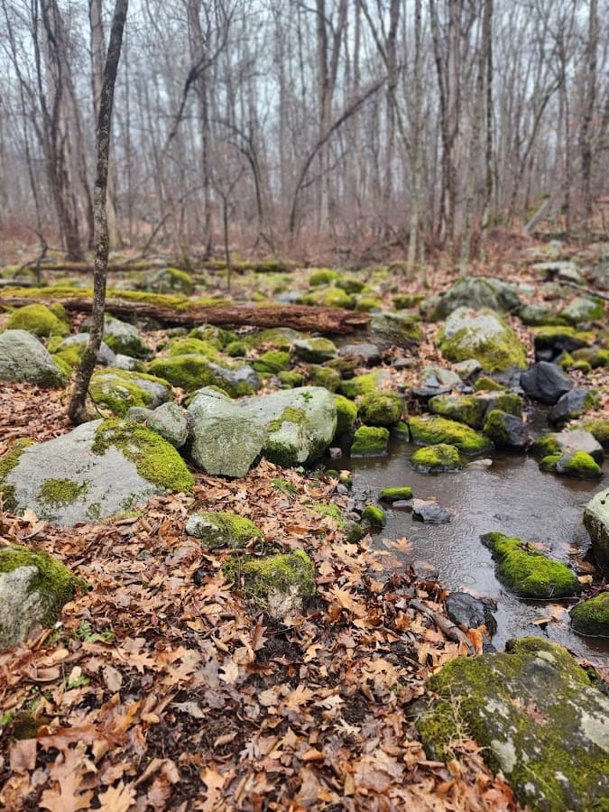 Mianus River State Park Scenic Reserve
