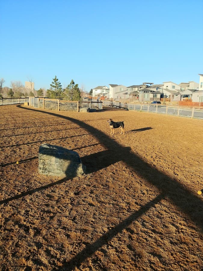 Midtown Dog Park