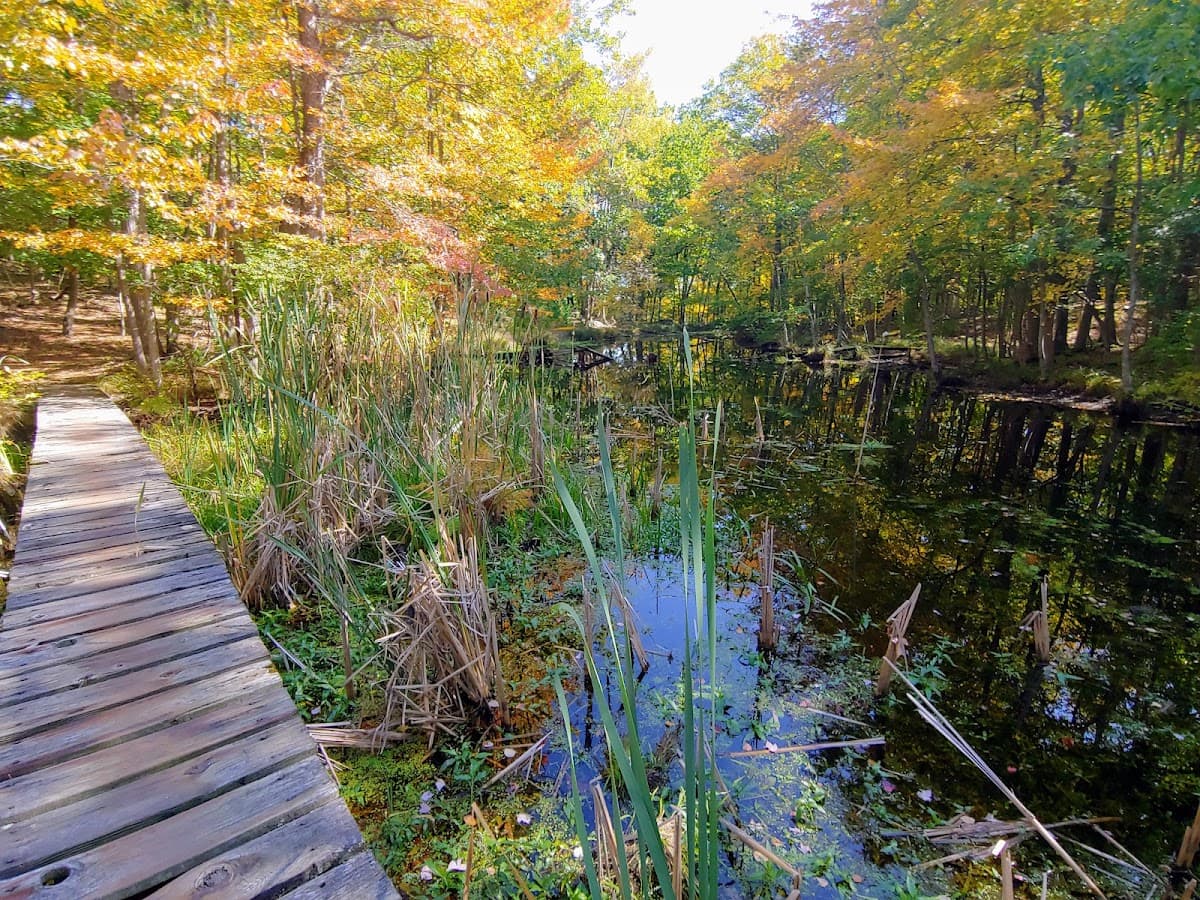 Mill River Trail