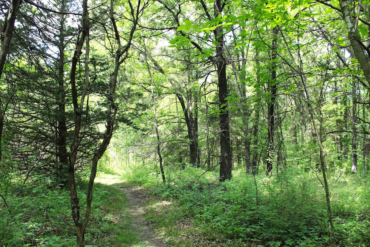 Moon Loop, S Ginn Ln Trailhead