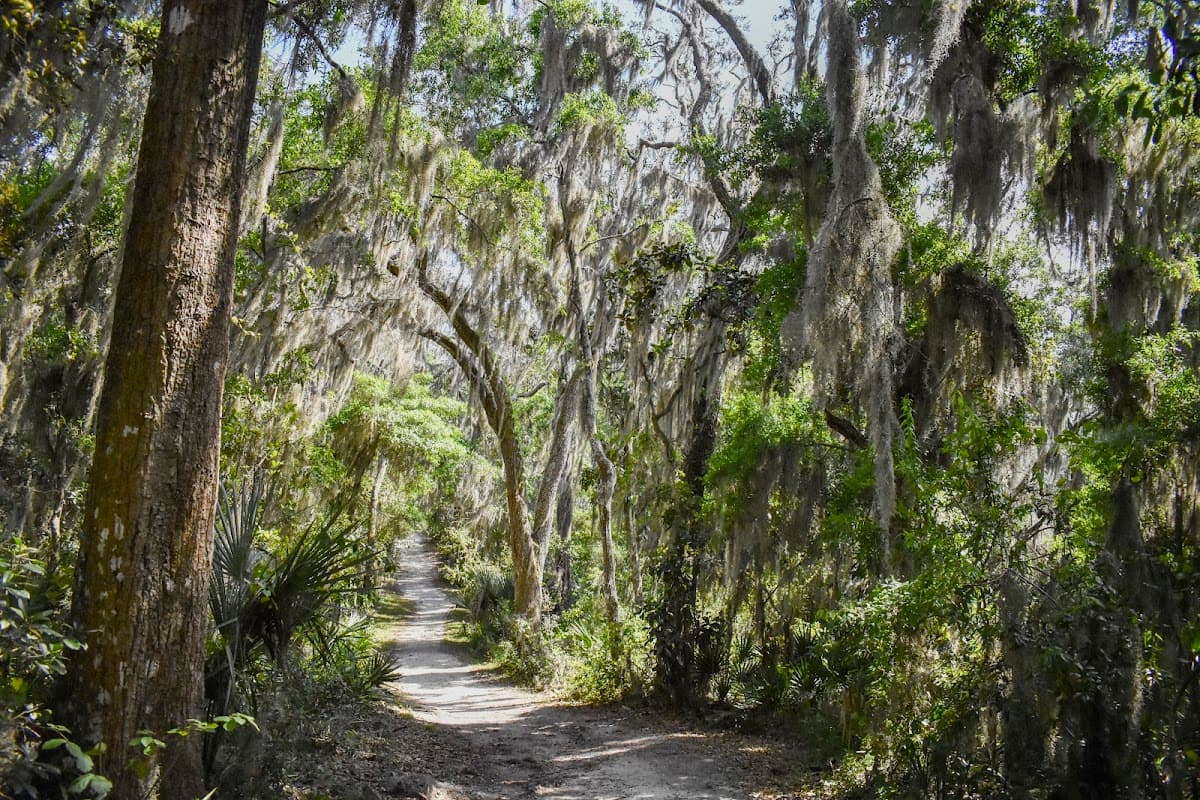 Nature Trail