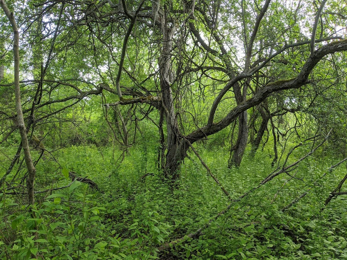 Nature View Park - entrance