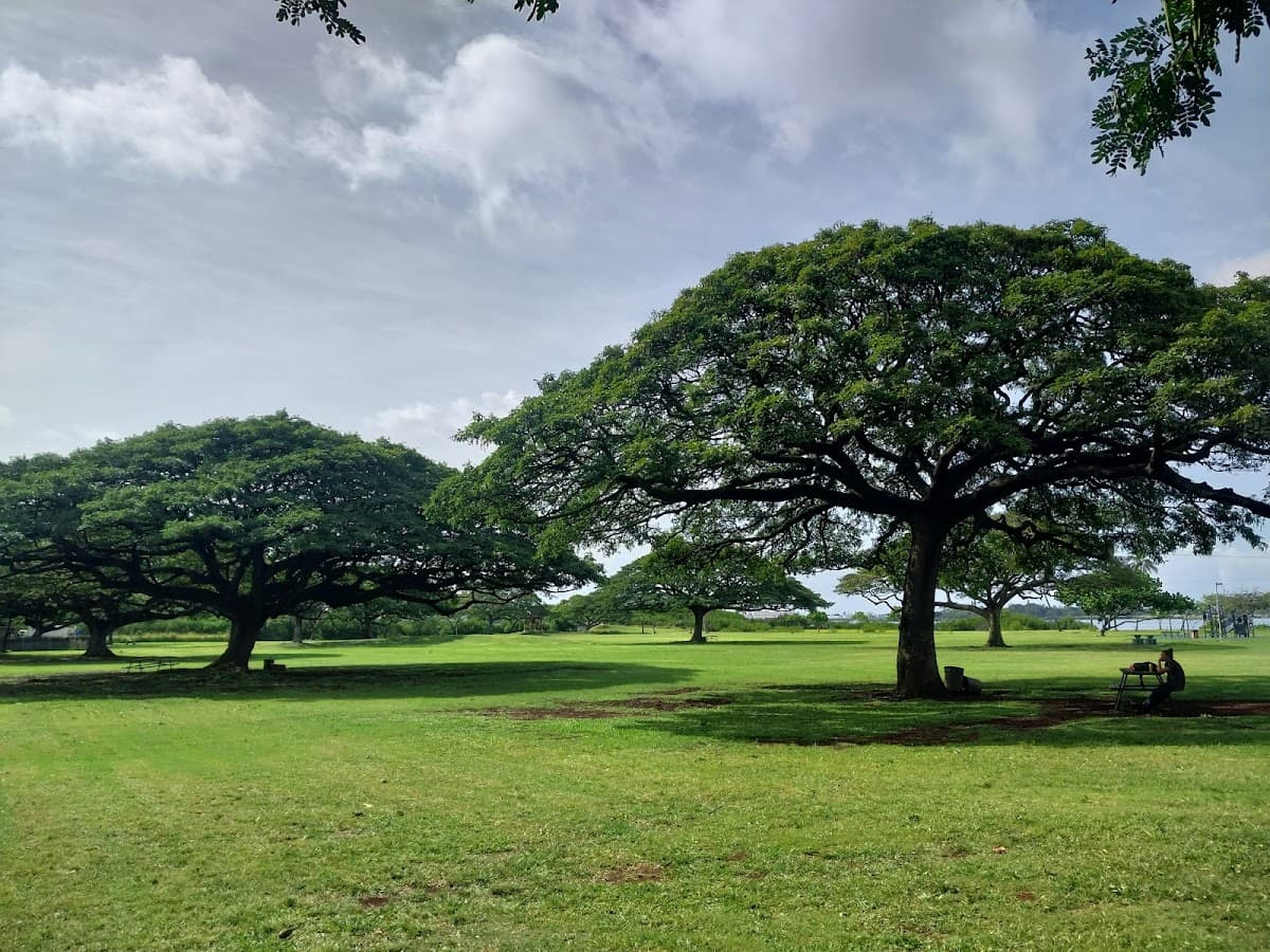 Neal S. Blaisdell Park