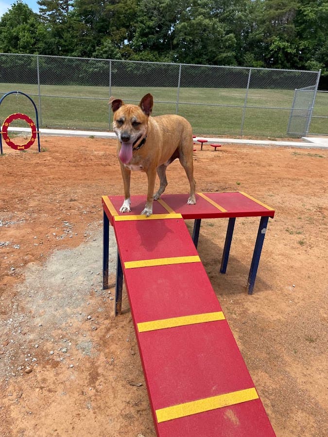 Northeast Dog Park