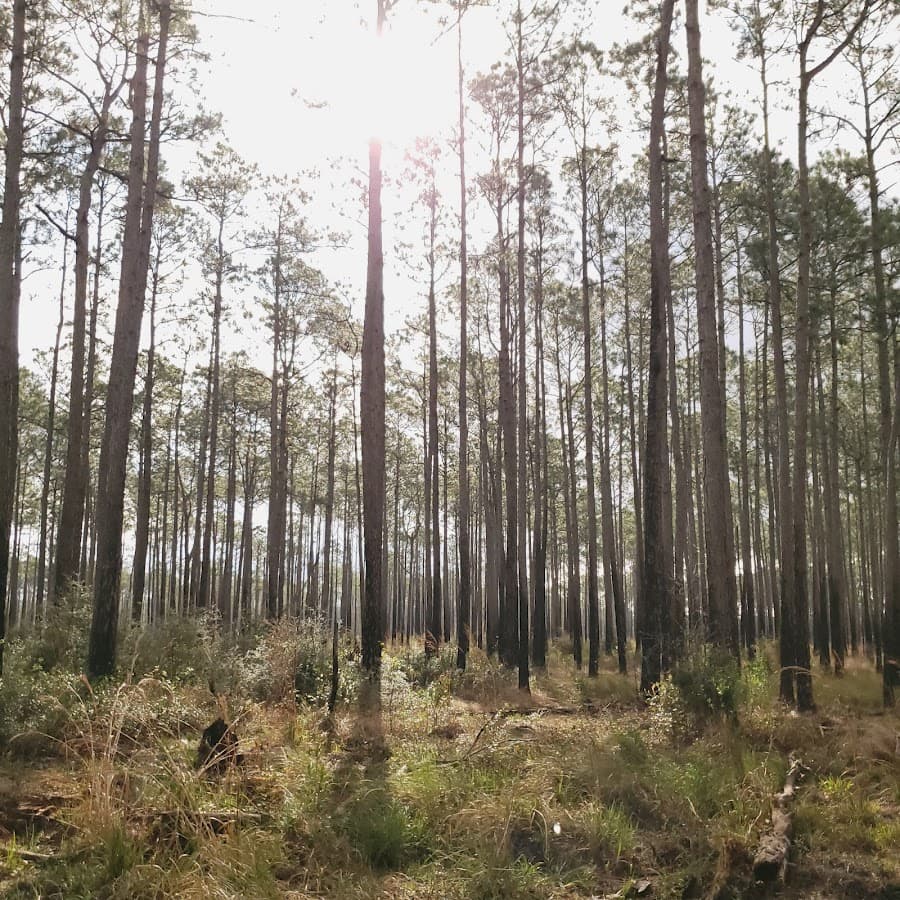 Oak Grove Birding Trail