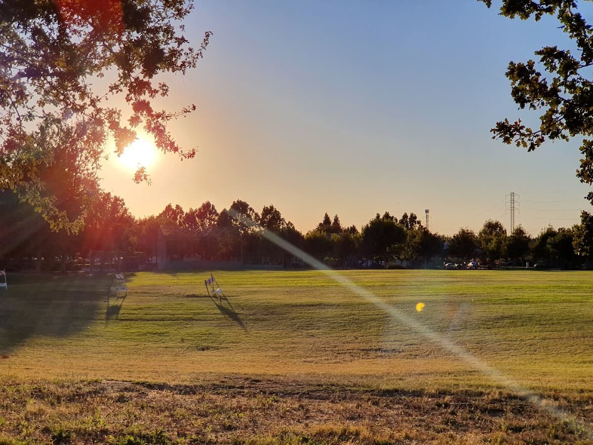 Orchard Park and Skate Park