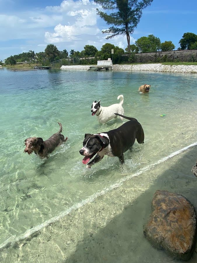 Performance Pups, Inc.