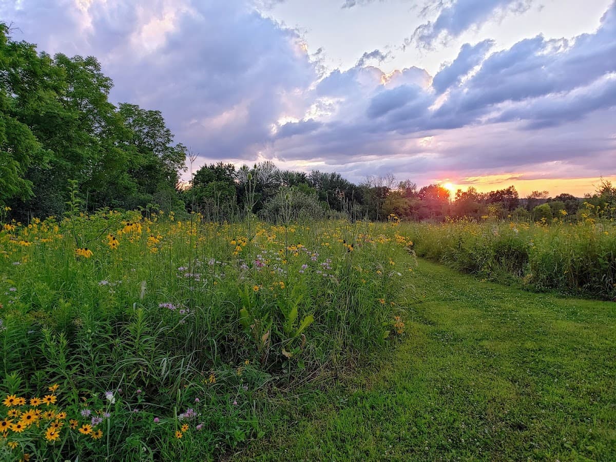 Pittsfield Preserve Southeast
