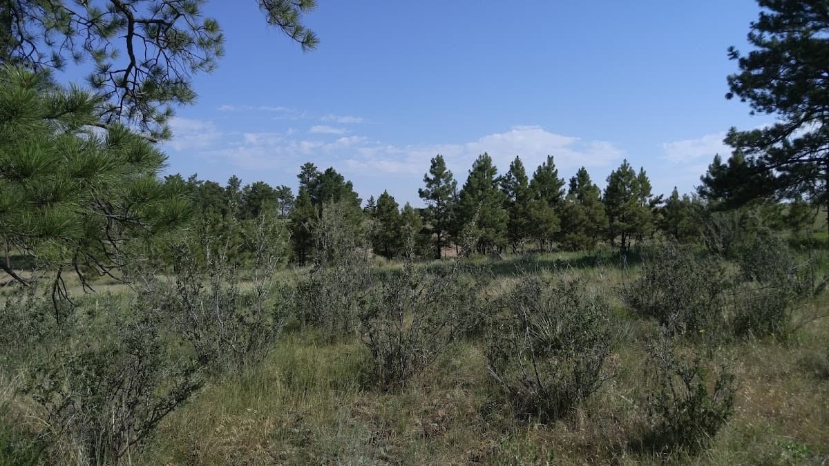 Ponderosa Preserve