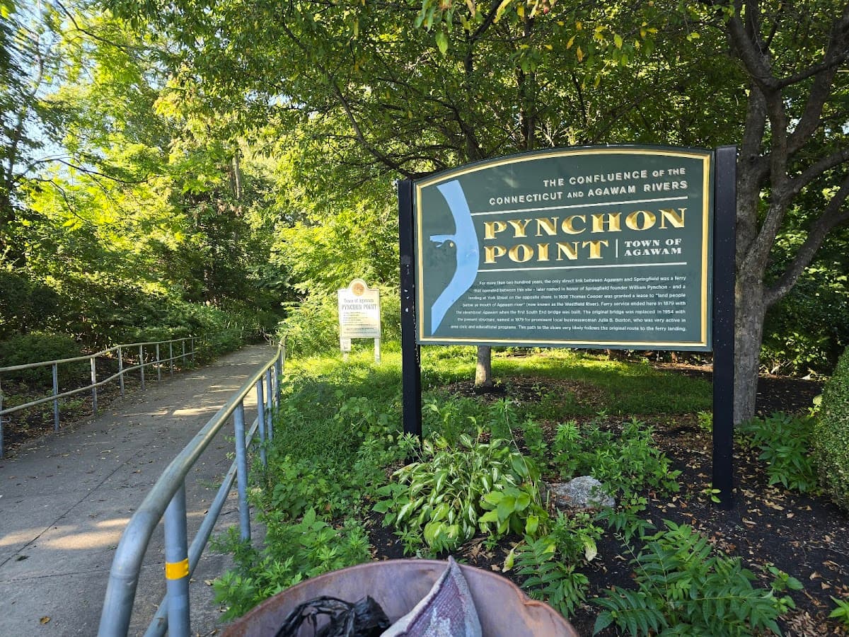 Pynchon Point