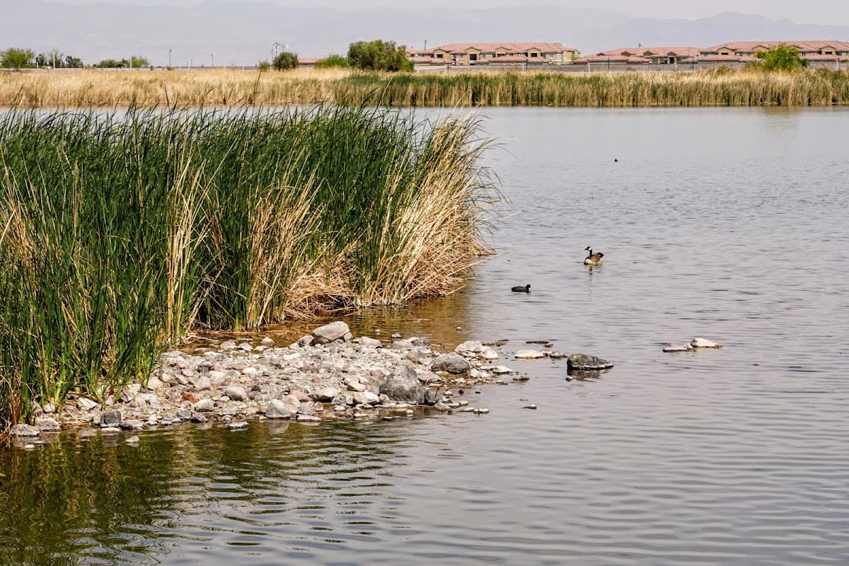 Railroad Lake
