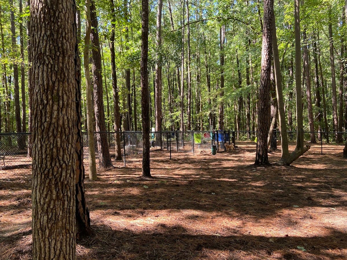 Rock Quarry Dog Park